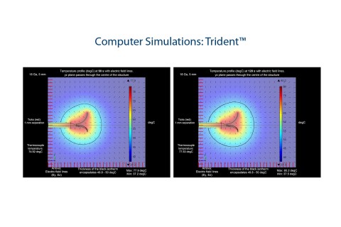 Computer Simulations: Trident™