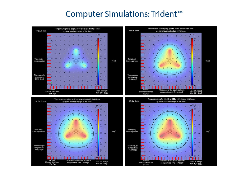 Computer Simulations: Trident™